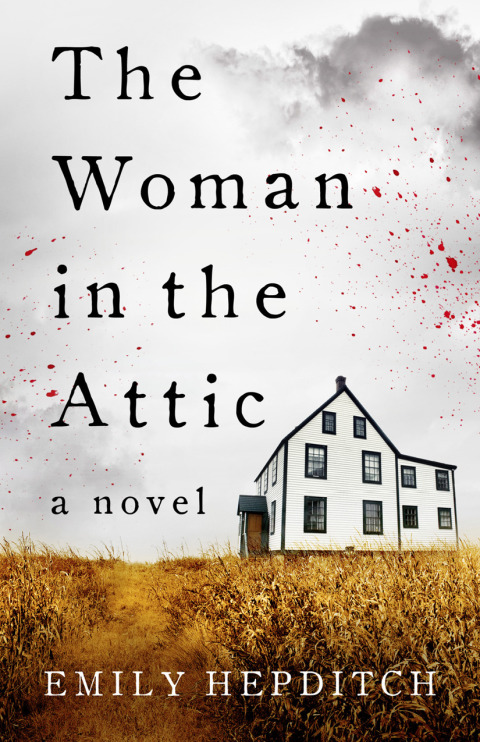 Cover image for book The Woman in the Attic