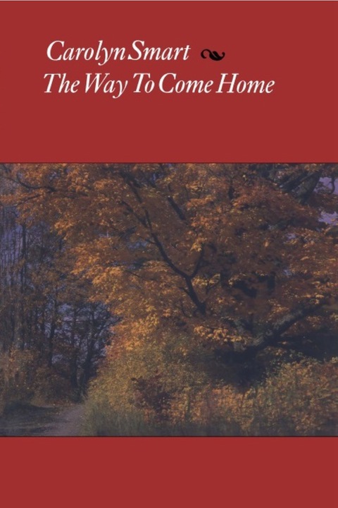 Cover image for book The Way to Come Home