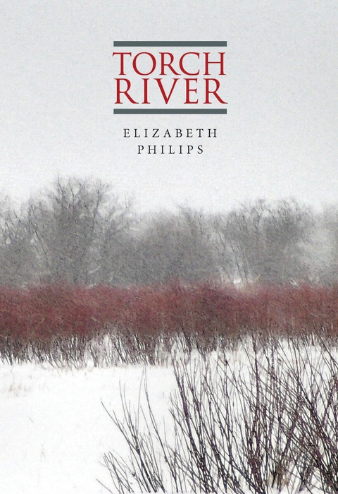Cover image for book Torch River