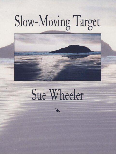 Cover image for book Slow Moving Target