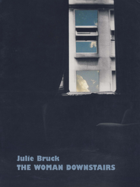 Cover image for book The Woman Downstairs