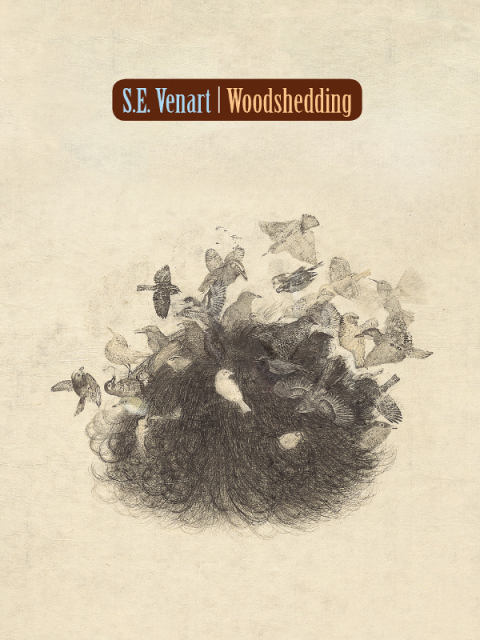 Cover image for book Woodshedding