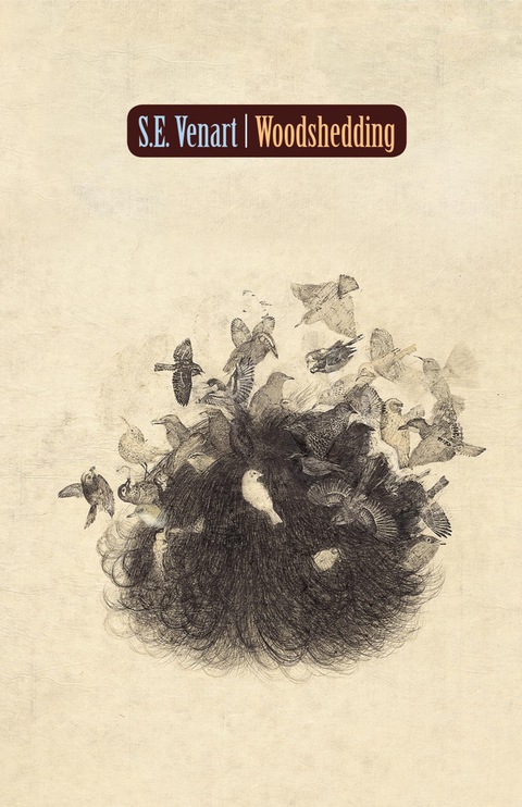Cover image for book Woodshedding
