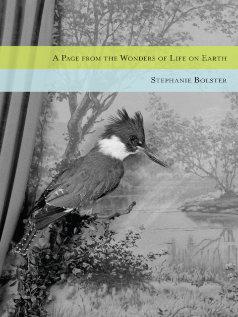 Cover image for book A Page from the Wonders of Life on Earth
