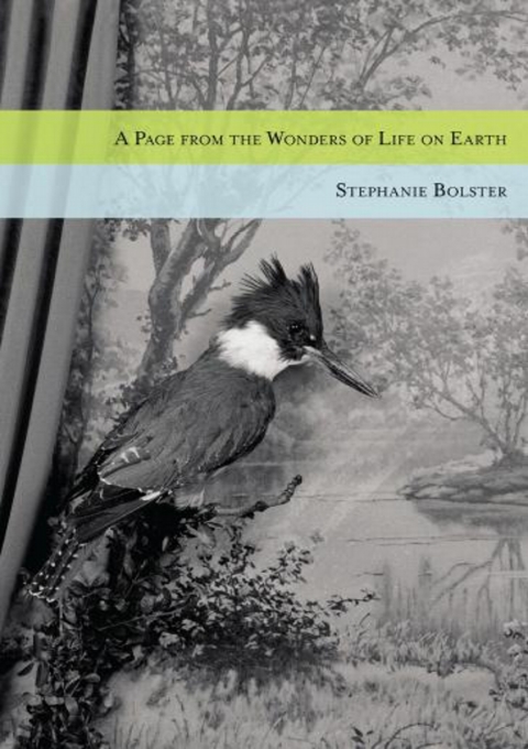 Cover image for book A Page from the Wonders of Life on Earth