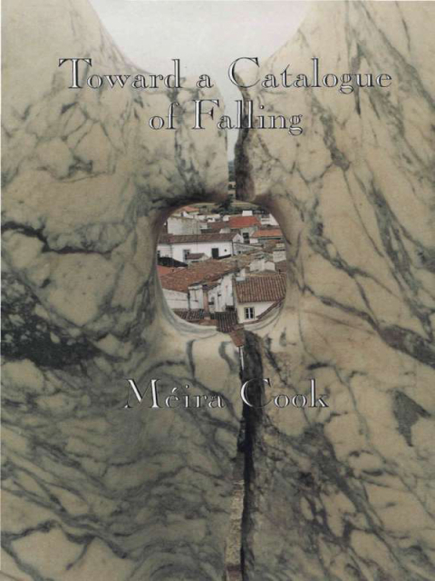 Toward a Catalogue of Falling 