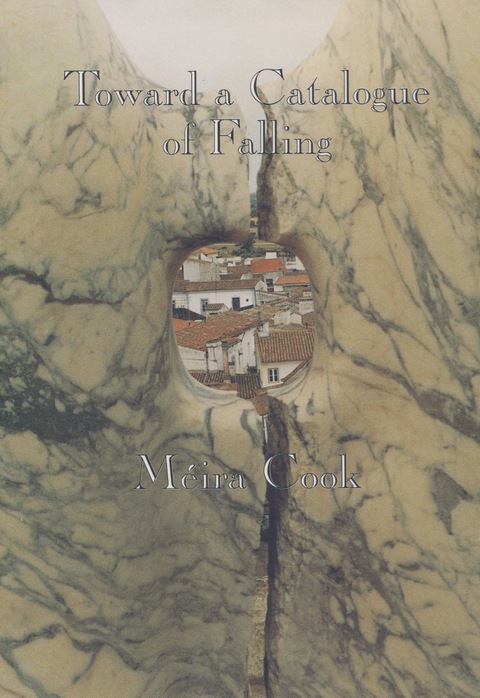 Cover image for book Toward a Catalogue of Falling
