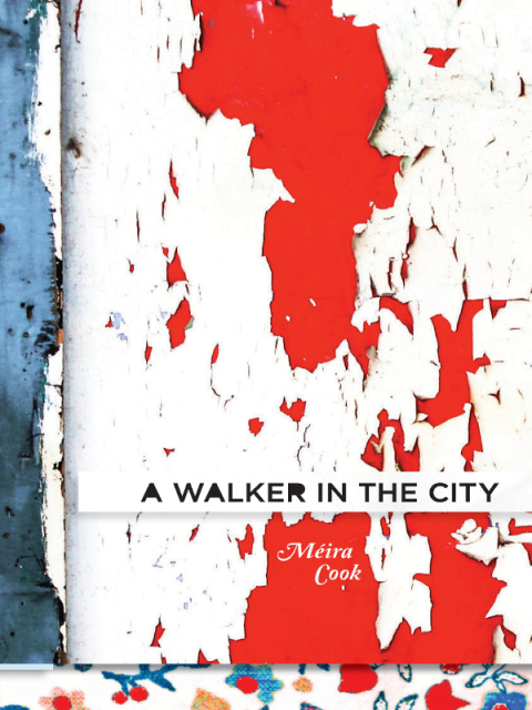 A Walker in the City 