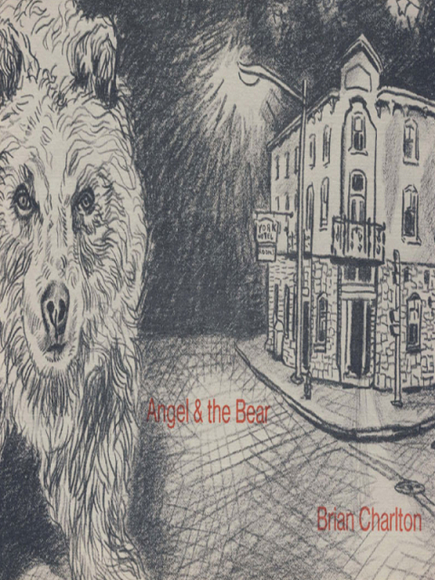 Cover image for book Angel and the Bear