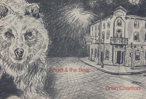 Cover image for book Angel and the Bear