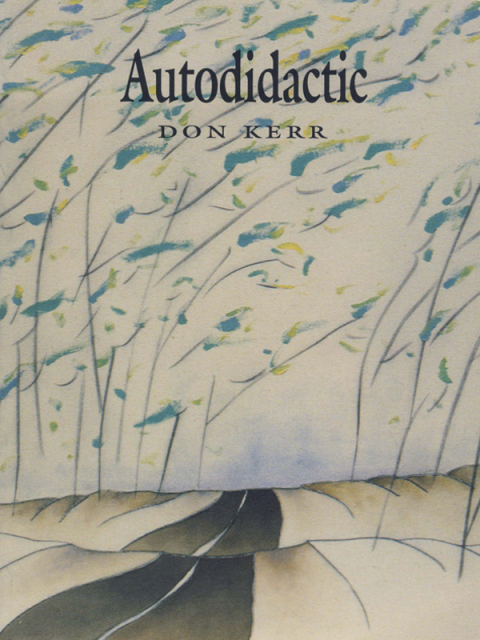 Cover image for book Autodidactic