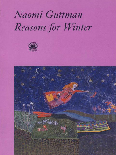 Cover image for book Reasons for Winter