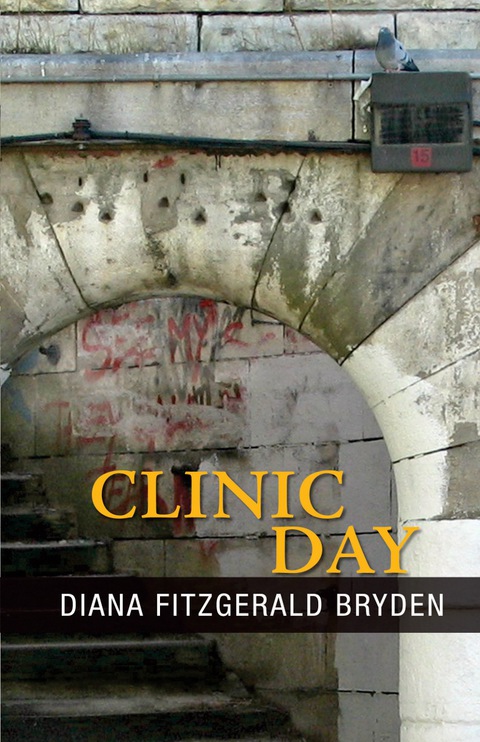 Cover image for book Reasons for Winter