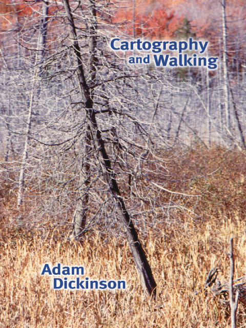 Cover image for book Cartography and Walking