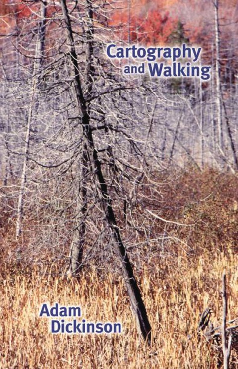 Cover image for book Cartography and Walking