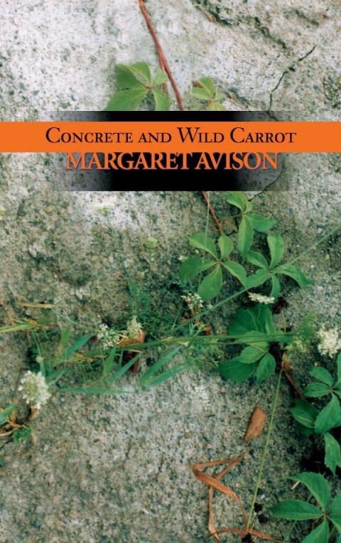 Cover image for book Concrete and Wild Carrot