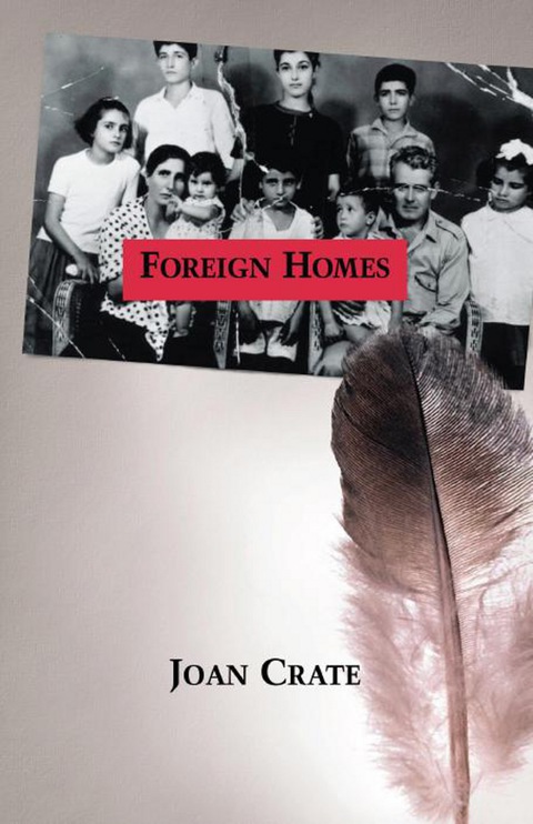 Cover image for book Foreign Homes