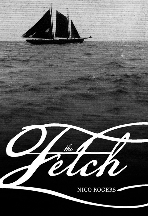 Cover image for book The Fetch