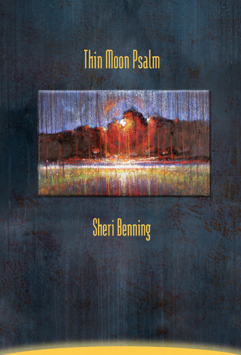 Cover image for book Thin Moon Psalm
