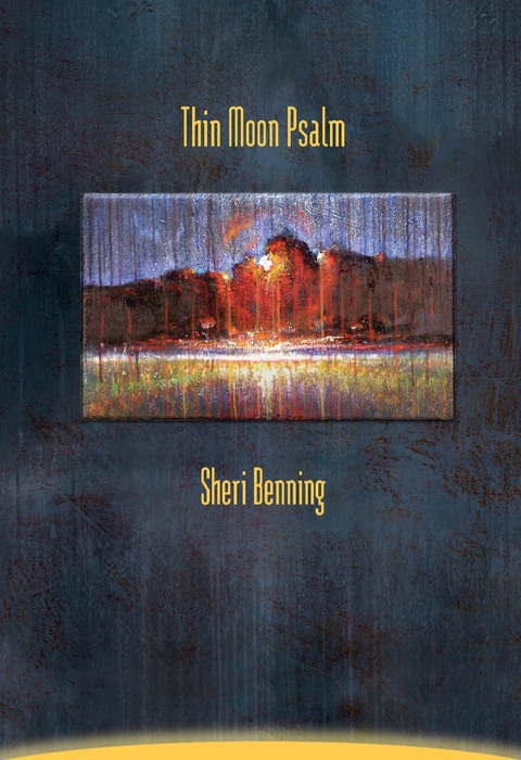 Cover image for book Thin Moon Psalm