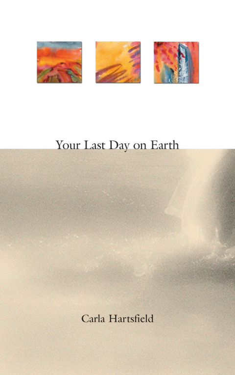 Cover image for book Your Last Day on Earth