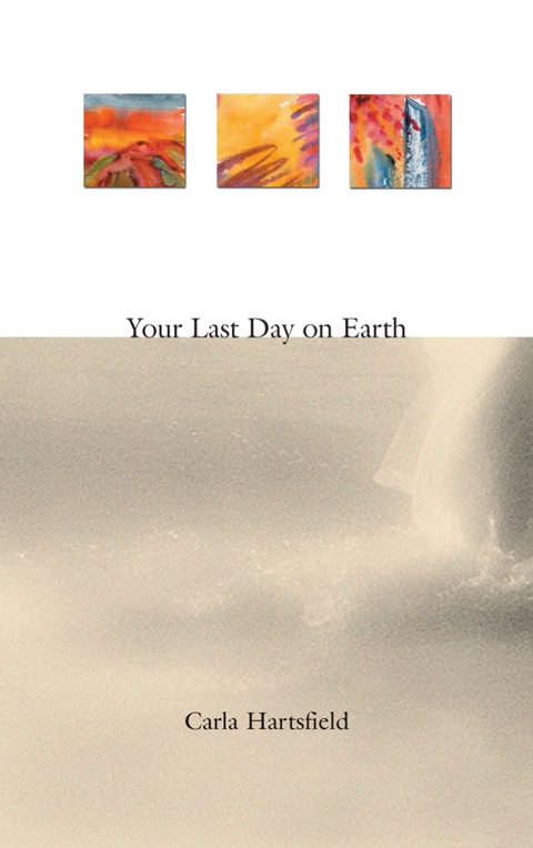 Cover image for book Your Last Day on Earth