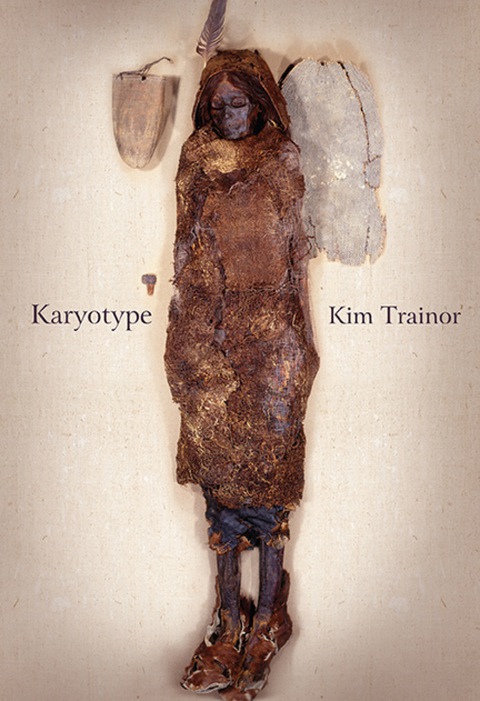 Cover image for book Karyotype