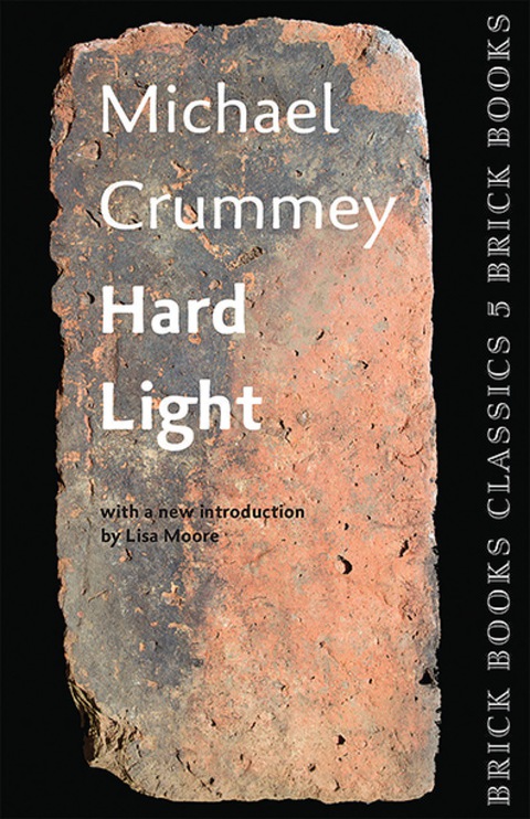 Cover image for book Hard Light