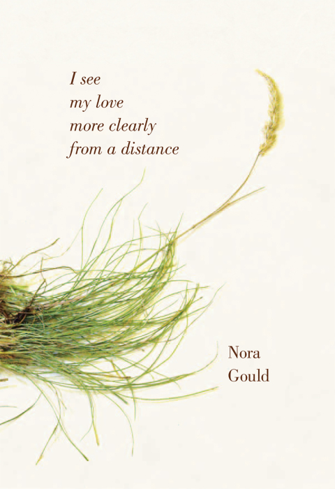 Cover image for book I see my love more clearly from a distance