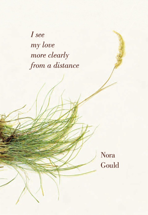 Cover image for book I see my love more clearly from a distance