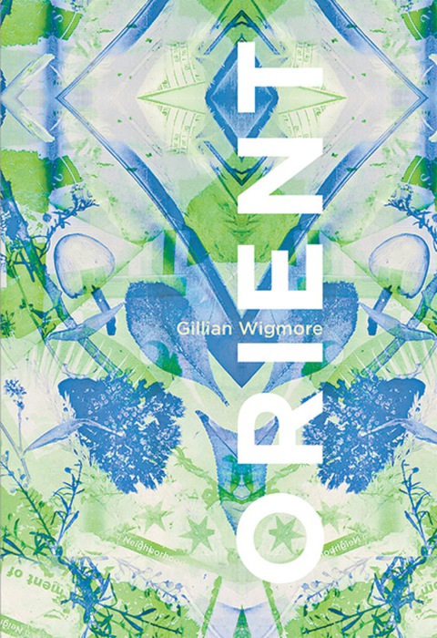 Cover image for book orient