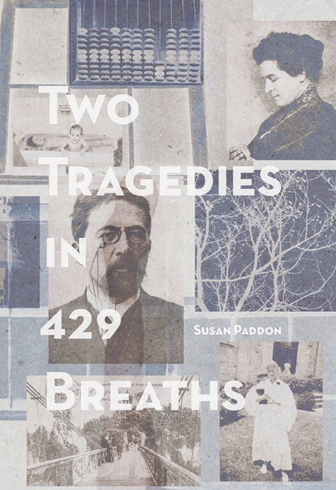 Cover image for book Two Tragedies in 429 Breaths
