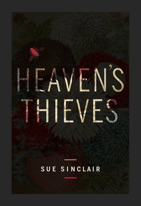 Cover image for book Heaven's Thieves