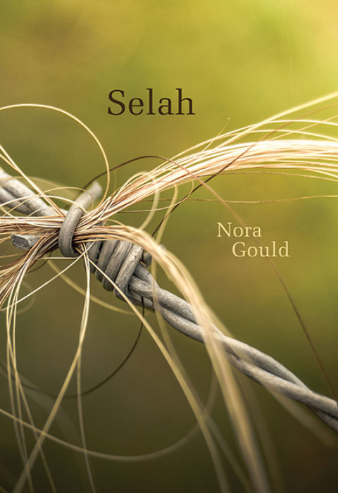 Cover image for book Selah
