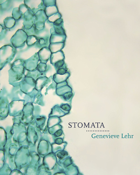Cover image for book Stomata