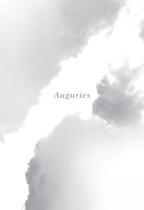 Cover image for book Auguries