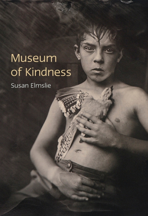 Cover image for book Museum of Kindness