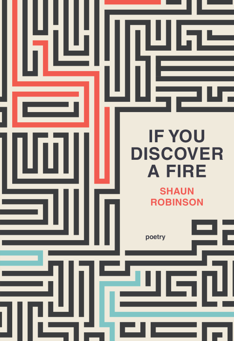 Cover image for book If You Discover a Fire