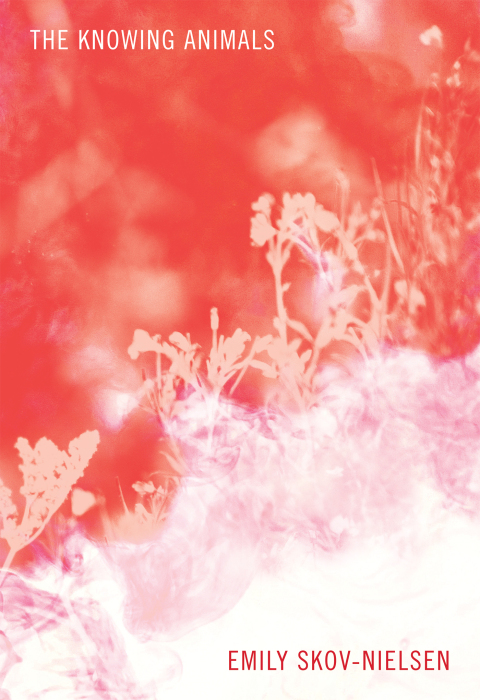 Cover image for book The Knowing Animals