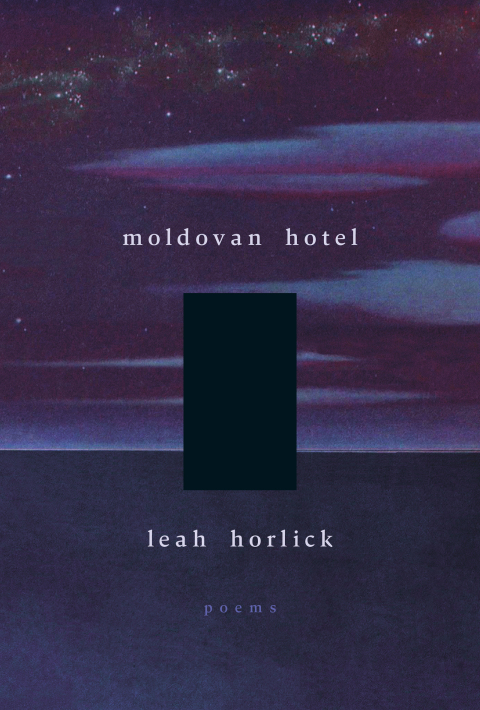 Cover image for book Moldovan Hotel