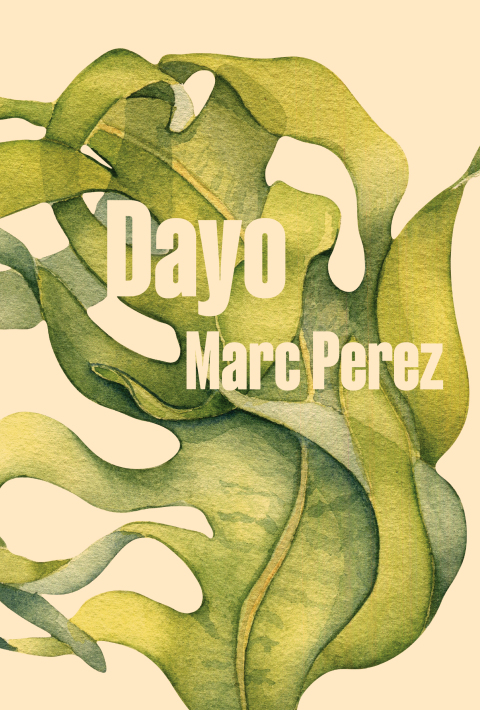 Cover image for book Dayo