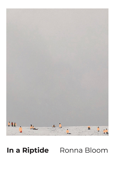Cover image for book In a Riptide