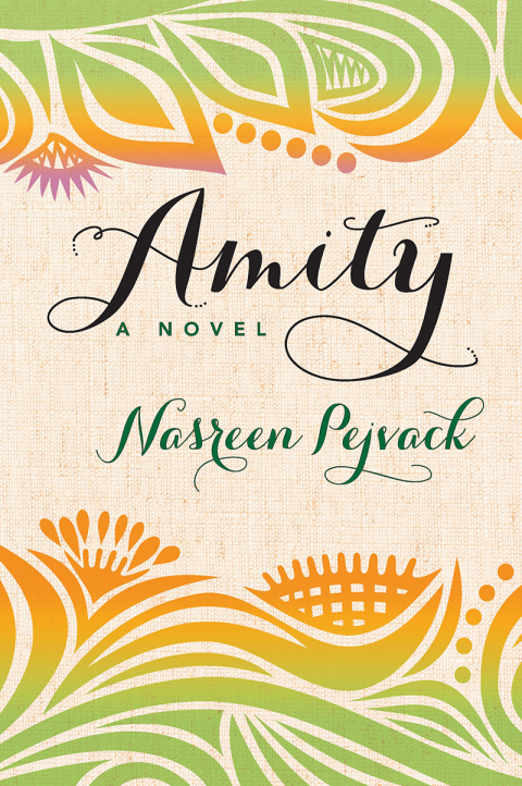 Cover image for book Amity
