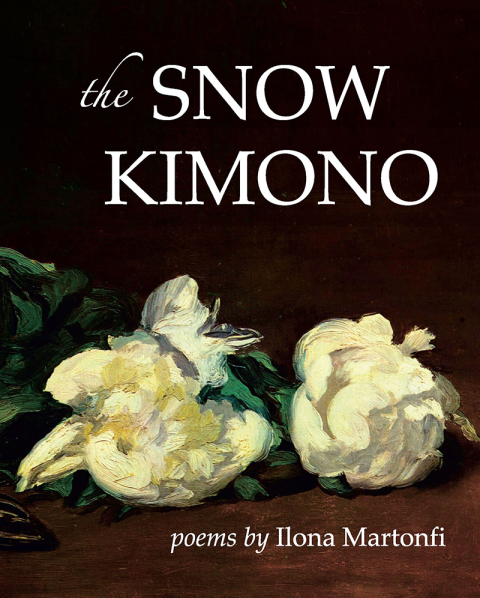 Cover image for book The Snow Kimono