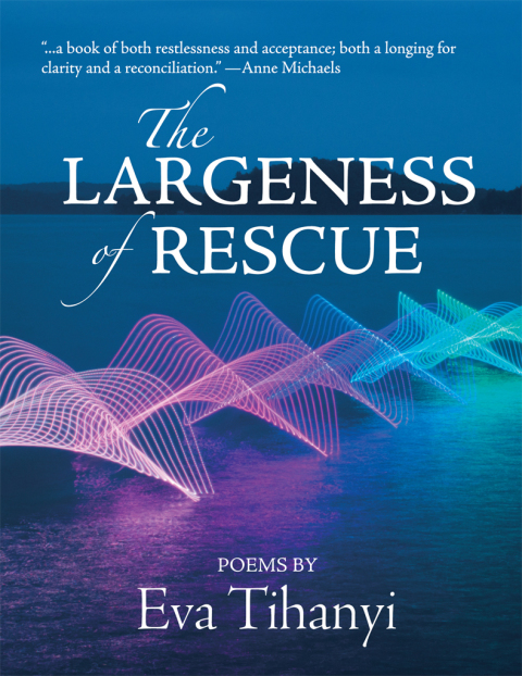 Cover image for book The Largeness of Rescue