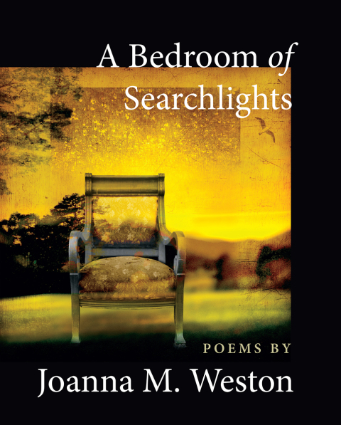 Cover image for book A Bedroom of Searchlights