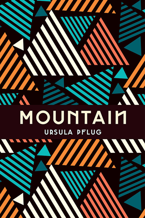 Cover image for book Mountain