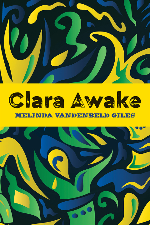 Cover image for book Clara Awake