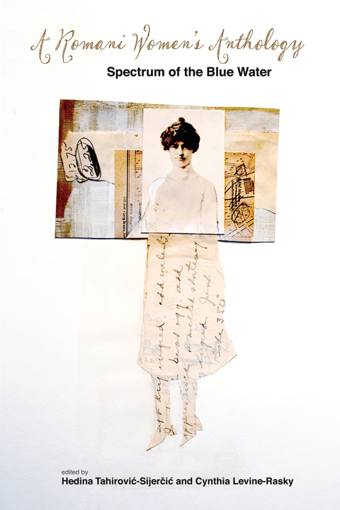 Cover image for book A Romani Women's Anthology