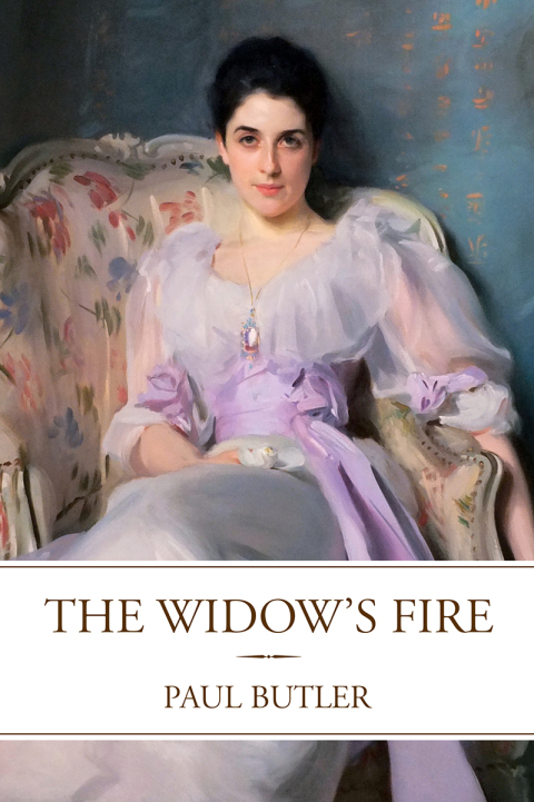 Cover image for book The Widow's Fire